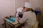 Количество больных коронавирусом в Челябинской области превысило две т...